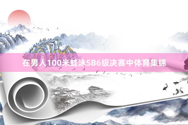 在男人100米蛙泳SB6级决赛中体育集锦