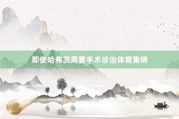 即使哈弗茨需要手术诊治体育集锦