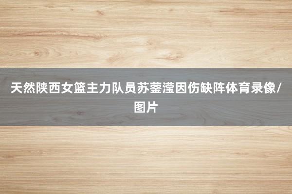 天然陕西女篮主力队员苏蓥滢因伤缺阵体育录像/图片