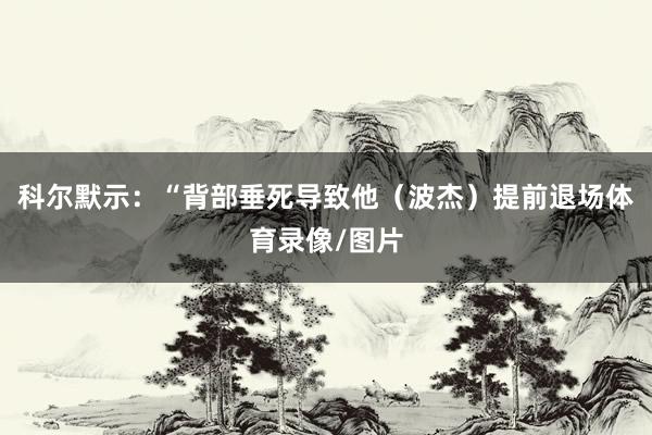 科尔默示：“背部垂死导致他（波杰）提前退场体育录像/图片